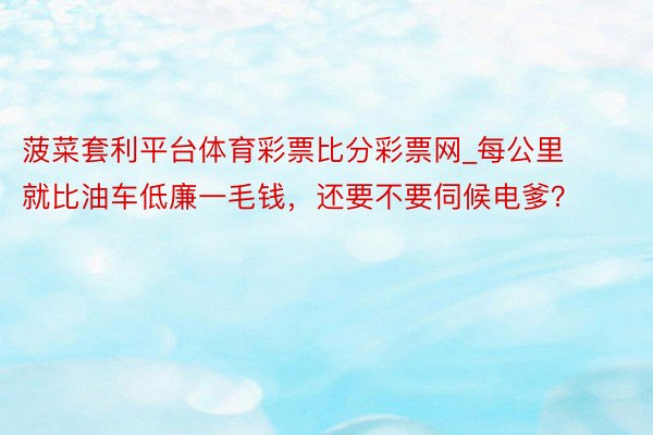 菠菜套利平台体育彩票比分彩票网_每公里就比油车低廉一毛钱，还要不要伺候电爹？